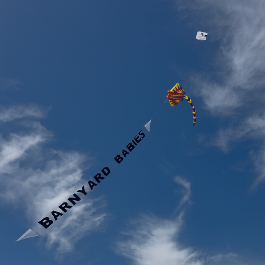 In The News: Barnyard Babies 2026